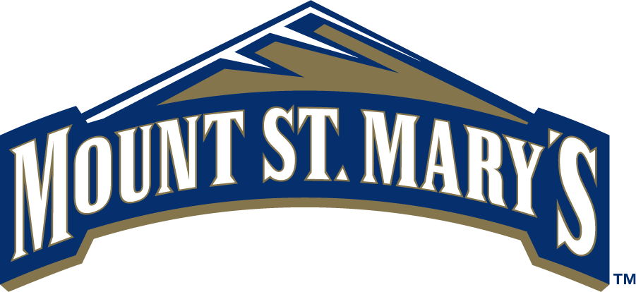 Mount St. Marys Mountaineers 2006-2016 Secondary Logo v2 iron on transfers for T-shirts